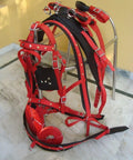 Durable Horse Driving Harness For Single Horse Cart in red-black with chrome-plated stainless steel buckles and designer studs.