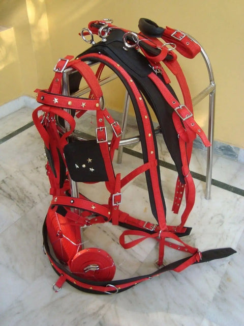 Durable Horse Driving Harness For Single Horse Cart in red-black with chrome-plated stainless steel buckles and designer studs.