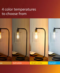 Vintage Edison Style Led Bulb 60W Equivalent Amber 2000K Warm Glow A19 Dimmable Flicker Free 400 Lumen Filament in lamp