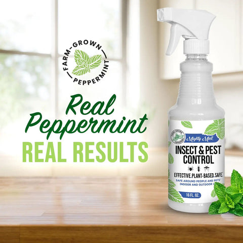Natural Peppermint Bug Spray For Dogs And Cats Kickin Fleas And Ticks Away Safe For Kids And Pets Badass Natural Protection Allergen Free Garden Patio Defense 16 Ounce on wooden tabletop.