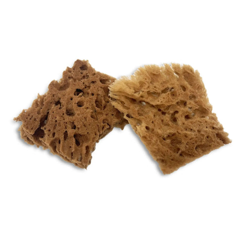 Unbleached Natural Sea Sponges 10 Pack Awesome Value For Arts And Crafts Set showing two sponges with varied textures for artistic use.