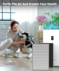 Living room with Y1000 Air Purifier Replacement Filter 2-In-1 H13 True HEPA and Activated Carbon Set 2-Pack near woman and dog