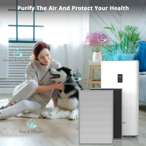 Living room with Y1000 Air Purifier Replacement Filter 2-In-1 H13 True HEPA and Activated Carbon Set 2-Pack near woman and dog
