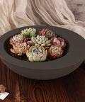 Large Round Silicone Mold for Resin and Concrete Projects used as a succulent planter with colorful plants