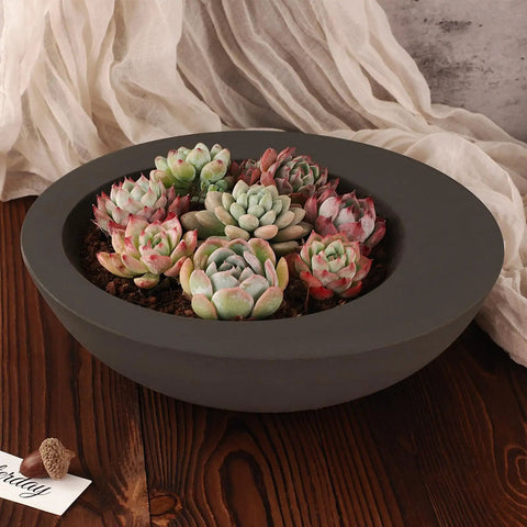 Large Round Silicone Mold for Resin and Concrete Projects used as a succulent planter with colorful plants