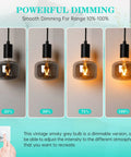 Amber Diamond Globe LED Edison Bulb 2200K Warm Glow, 4W Dimmable, showing dimming range from 25% to 100% with hand on dimmer