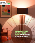 Living room with lamp showing lighting options for Two Pack A19 Smart LED Bulbs Color Changing RGB and Warm White 1100 Lumens Dimmable Tunable Lighting for Your Smart Home Matter Ready Works with Apple HomeKit Alexa and Google Assistant.
