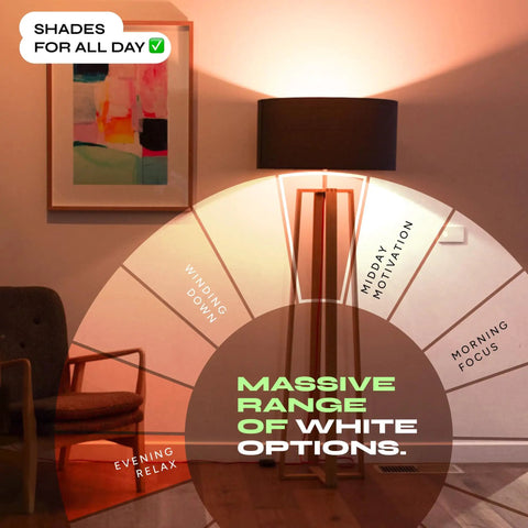 Living room with lamp showing lighting options for Two Pack A19 Smart LED Bulbs Color Changing RGB and Warm White 1100 Lumens Dimmable Tunable Lighting for Your Smart Home Matter Ready Works with Apple HomeKit Alexa and Google Assistant.