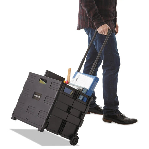 Collapsible Rolling Storage Crate With Telescoping Handle, 1.7 Cu Ft Capacity, Folds Flat To 3.5 Inches in use carrying items