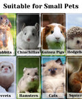 Image showing various small pets like rabbits, chinchillas, guinea pigs, and ferrets suitable for pet care.