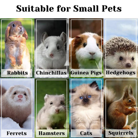 Image showing various small pets like rabbits, chinchillas, guinea pigs, and ferrets suitable for pet care.