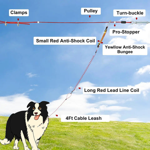 Anti Shock Dog Runner For Yard With Coiled Bungee Cable And Aerial Trolley System installed in backyard with diagram labels