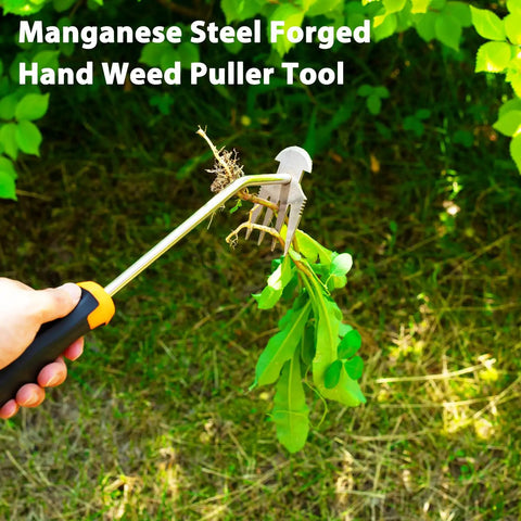 Uproot Like a Pro Hand Held Weeder Puller Tool With Rubber Grip Four Teeth Stainless Steel Weed Remover used in garden