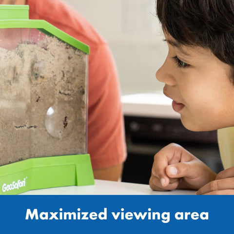 Child observing Ant Factory Classroom Ant Farm With Live Ants For Hands On STEM Learning At Home Kids Science Kit Escape Proof Habitat