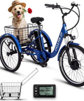Three Wheel Electric Tricycle For Adults And Seniors With Dual Parking Brakes And Dual Disc Brakes, blue frame, front basket, dog riding