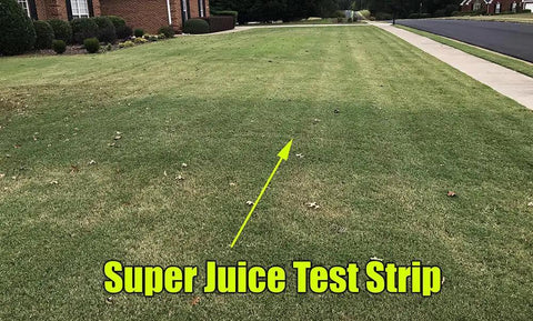 All In One Soluble Lawn Fertilizer With Humic Acid And Sea Kelp, Fast Acting Feed For Deep Green Grass, Complete Lawn Nutrition, Ideal As A Supplement To Your Fertilizer Program, Treats Up To Two Acres At Half Rate applied to test strip on green lawn