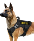 Fresh Custom Embroidered Name Patches 2 Pack Large Size Hook And Loop Velcro Backed Personalized Text Morale Tactical Gear Accessories on a dog harness.