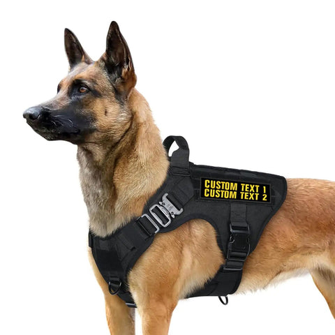 Fresh Custom Embroidered Name Patches 2 Pack Large Size Hook And Loop Velcro Backed Personalized Text Morale Tactical Gear Accessories on a dog harness.