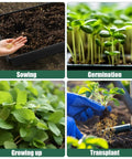 Seed Starter Kit With 10 1020 Seed Trays And 2 Seedling Heat Mats For Faster Germination In Indoor Gardens And Greenhouses showing sowing, germination, growing, transplant steps