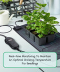 Six Pack 30W Seedling Heating Mats 10 By 20.75 Inches With Digital Thermostat Controller showing seedlings on mat