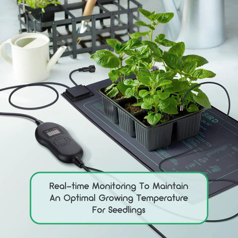 Six Pack 30W Seedling Heating Mats 10 By 20.75 Inches With Digital Thermostat Controller showing seedlings on mat