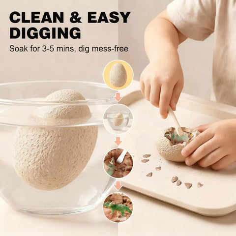 12 Pack Dinosaur Egg Dig Kit For Kids Aged 4 to 12, Excavate Realistic Dino Eggs, Science Experiments And Dino Toys For Boys And Girls 3 4 5 6 7 8 9 10 Year Olds, Family Bonding And Team Play, egg soaked for clean digging