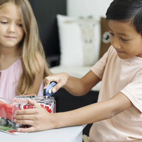 Slice mini box cutter, blue plastic handle, retractable blade used by a child to open packaging.