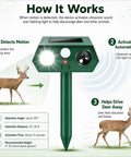 Solar Ultrasonic Deer Repellent Device 4 Pack With Motion Sensor And Flash Light No Go Zone Yard Guard For Flower Beds Vegetables And Gardens Deterrent For Deer Squirrels Raccoons And Rabbits With Multi Frequency 13 to 45KHz showing motion sensor and LED light