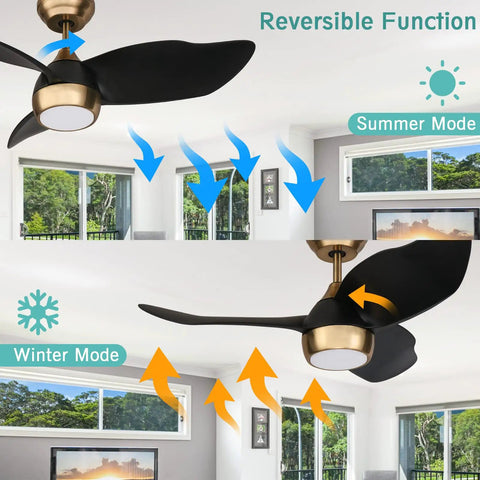 36 Inch Quiet DC Motor Ceiling Fan With 6 Speeds, Dimmable LED Light, Remote Control, 3 Blades in black gold finish.