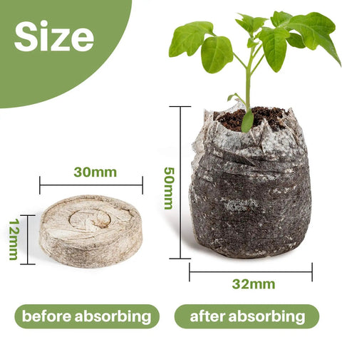 50 Count 30Mm Peat Pellets Seed Starter Pods for Seedlings showing size before and after absorbing water