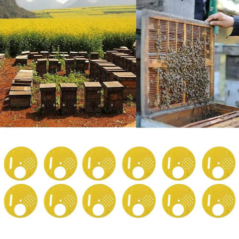 Beekeeping Entrance Gate Set for Nuc Boxes, 12 Pack Plastic Beehive Gates shown with yellow gates and bee-filled hives