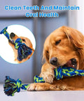 Golden retriever chewing on Two Pack XL Dog Rope Toys For Large Breed Aggressive Chewers, indestructible tug toy for teeth cleaning.