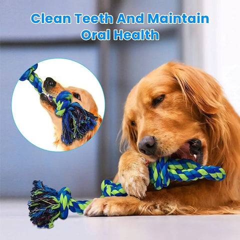 Golden retriever chewing on Two Pack XL Dog Rope Toys For Large Breed Aggressive Chewers, indestructible tug toy for teeth cleaning.