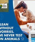 Woman with dog next to Streak Free Glass Cleaner Spray For Windows, Mirrors, Screens And Shower Doors, 32 Oz Pack Of 2 bottle