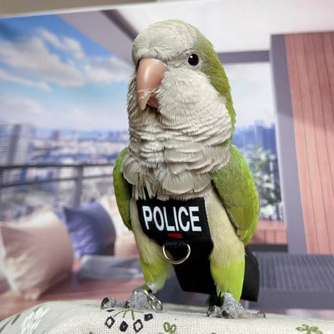 Parrot wearing a Parrot Harness Flight Suit With Leash For Outdoor Training Fleece Bird Vest adorned with police patch.