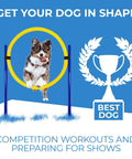 Dog Agility Set With Hoop Jump Weave Poles And Pause Box featuring a dog jumping through a yellow hoop, blue background with trophy illustration.