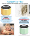 Diagram showing True HEPA pet allergies filter, mold and bacteria filter, and child with pet for indoor air purification.