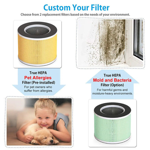 Diagram showing True HEPA pet allergies filter, mold and bacteria filter, and child with pet for indoor air purification.
