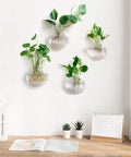 Hanging Glass Terrarium Planter Set Of 2 For Hydroponics And Air Plants, Oblate Vase Decor For Bathroom, Living Room And Office, Plants Not Included