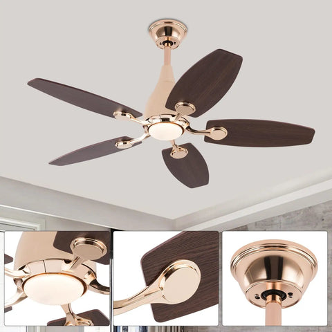 Ceiling Fan with Built-in Light and Handheld Switch, 5 Blades, Modern, showcasing 5 dark wooden blades and a gold finish.