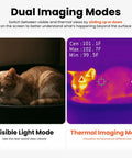 Dual display of a cat using Pocket Sized Thermal Camera With Touchscreen No App Needed 80x60 Infrared Imager For Home Inspection