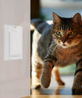 Two Pack Rocker Switch Guard Covers for Baby Proofing Your Home, Wall Switch Protectors installed on wall with a cat nearby