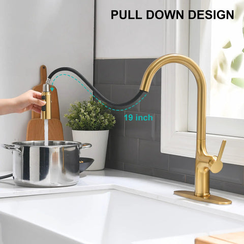 Smooth Operator Brushed Gold Kitchen Faucet With Sleek Single Handle And Slick Pull Down Sprayer For Zero Hassle Cleaning featuring 19-inch pull down design.