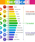 Colorful pH scale chart with acidic to alkaline examples like vinegar to drain cleaner, used in Ultimate 50 Pack pH Test Strips Kit.