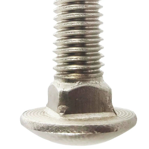 Close-up of Top Shelf 1/4 X 3 Inch Carriage Bolts Round Head Square Neck Stainless Steel 18 8 with threaded shank.
