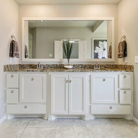 Bathroom vanity with large mirror, granite countertop, and white cabinet doors featuring crystal knobs, plant on counter.