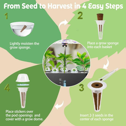 Steps to use Genovese Basil Seed Pods Kit For Hydroponics Refill with Eight Grow Pods Seeds and Plant Food in an indoor garden