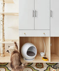 Modern kitchen cabinet with 30 Pack 5 Inch Cabinet Pulls With 3 Inch Hole Center In Satin Nickel, cat climbing adjacent structure.