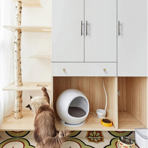 Modern kitchen cabinet with 30 Pack 5 Inch Cabinet Pulls With 3 Inch Hole Center In Satin Nickel, cat climbing adjacent structure.
