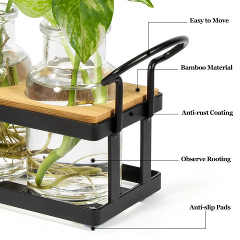Close-up of Tabletop Plant Propagation Station with metal stand, retro glass terrarium showing bamboo, anti-rust, and anti-slip features.